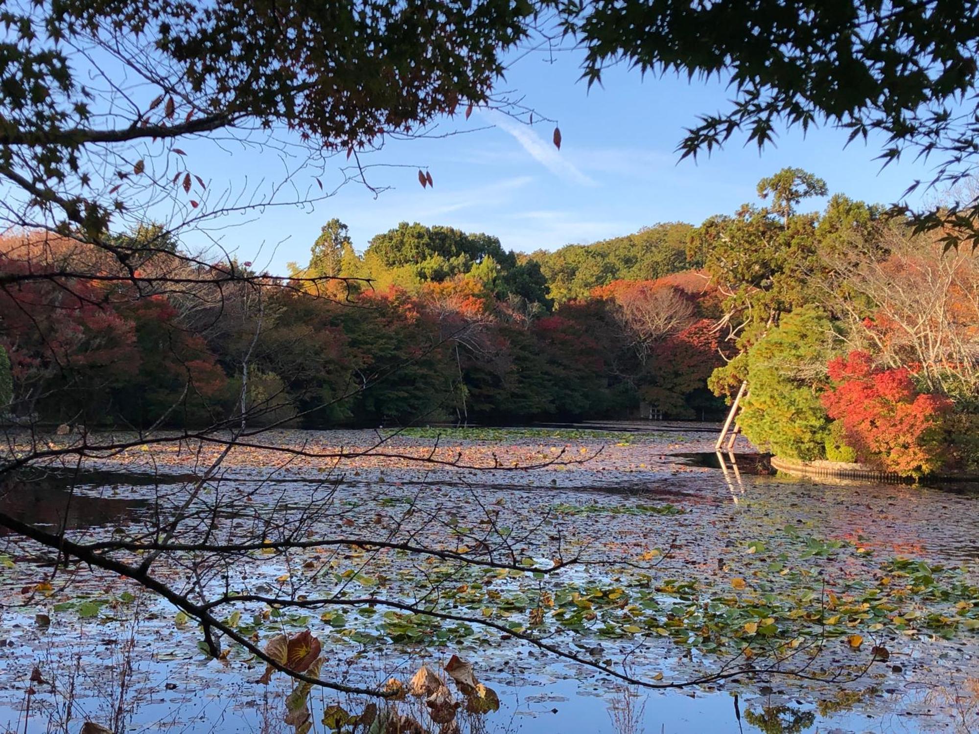 伝心庵 Garden Villa Denshin-An - Kyoto — Photos 2