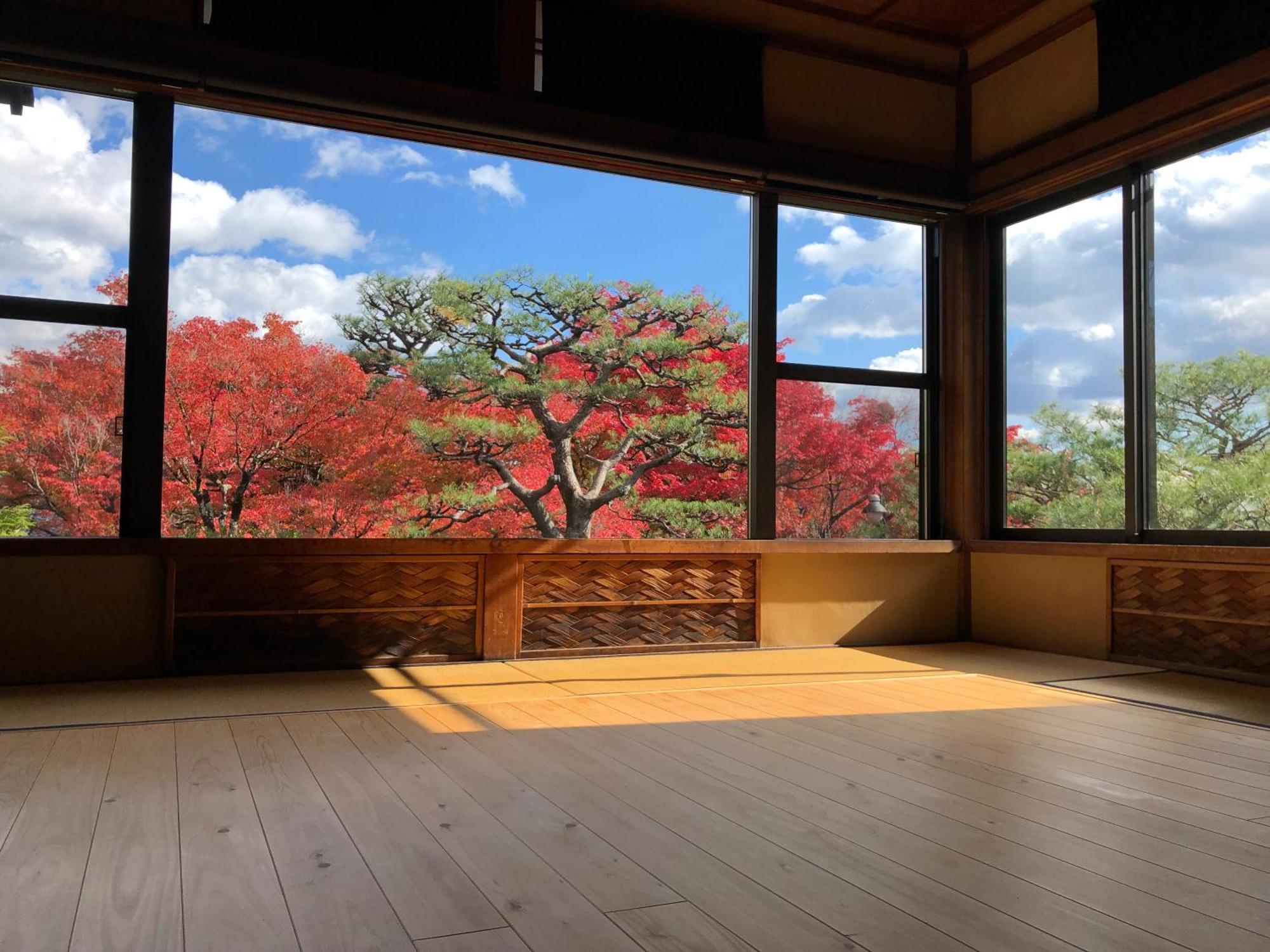 伝心庵 Garden Villa Denshin-An - Kyoto — Photos 1